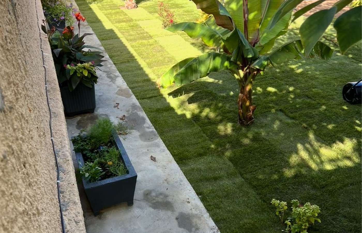 Gazon en plaques le long d’une allée — réalisation C-L Jardinage