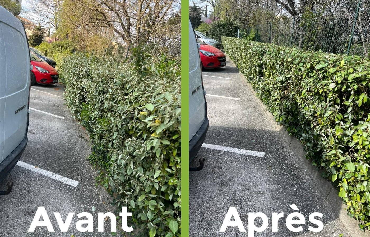 Haie de parking à Septèmes-les-Vallons — réalisation C-L Jardinage