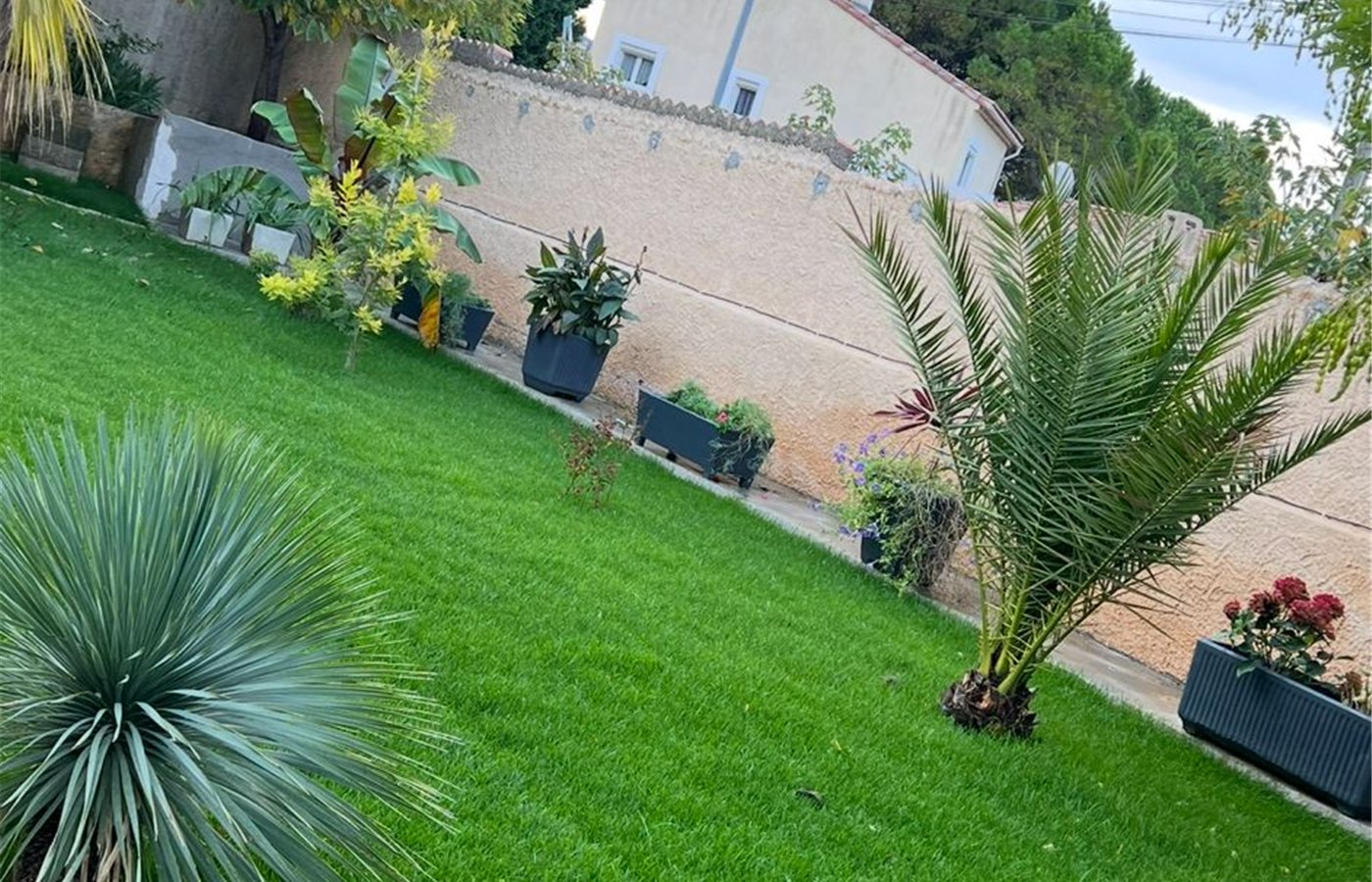 Pelouse tondue et bordures nettes
