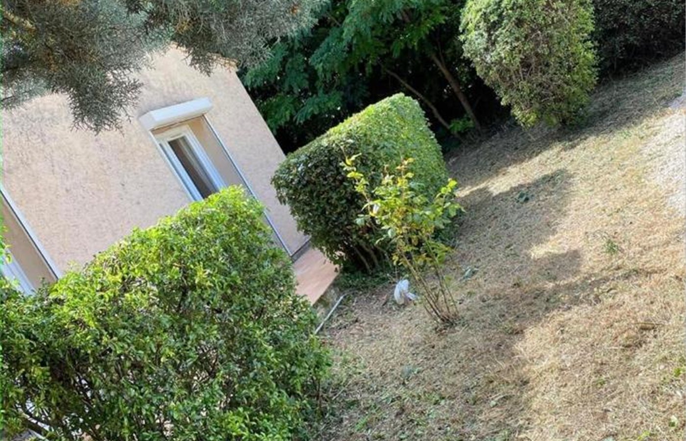 Massifs désherbés dans un jardin de villa