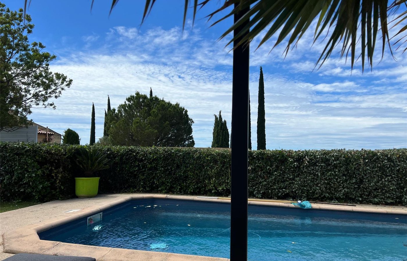 Haies taillées formant un écran végétal autour d’une piscine dans un jardin de Marseille
